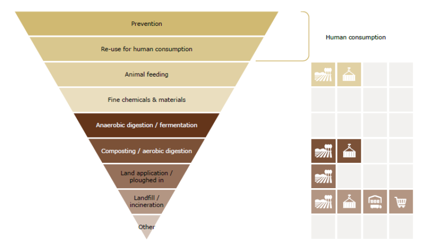 Figure 2: Destinations of discarded blueberries.