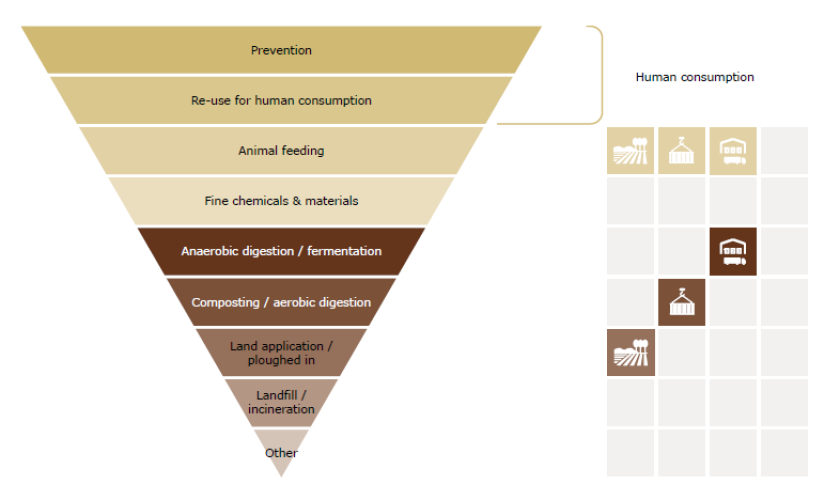 Figure 2: Destinations of discarded green beans